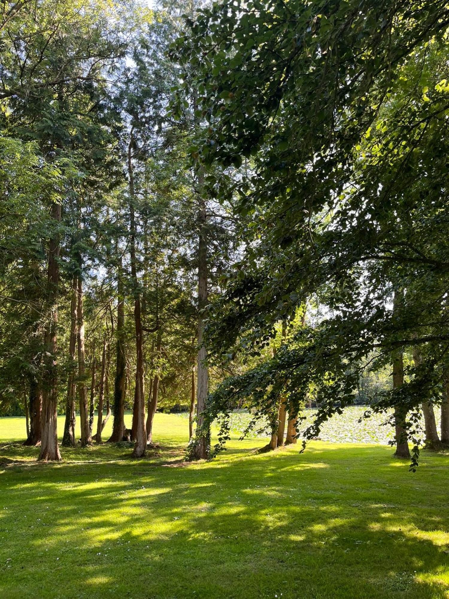 Abbaye De Blanchelande Bed & Breakfast Neufmesnil Екстериор снимка